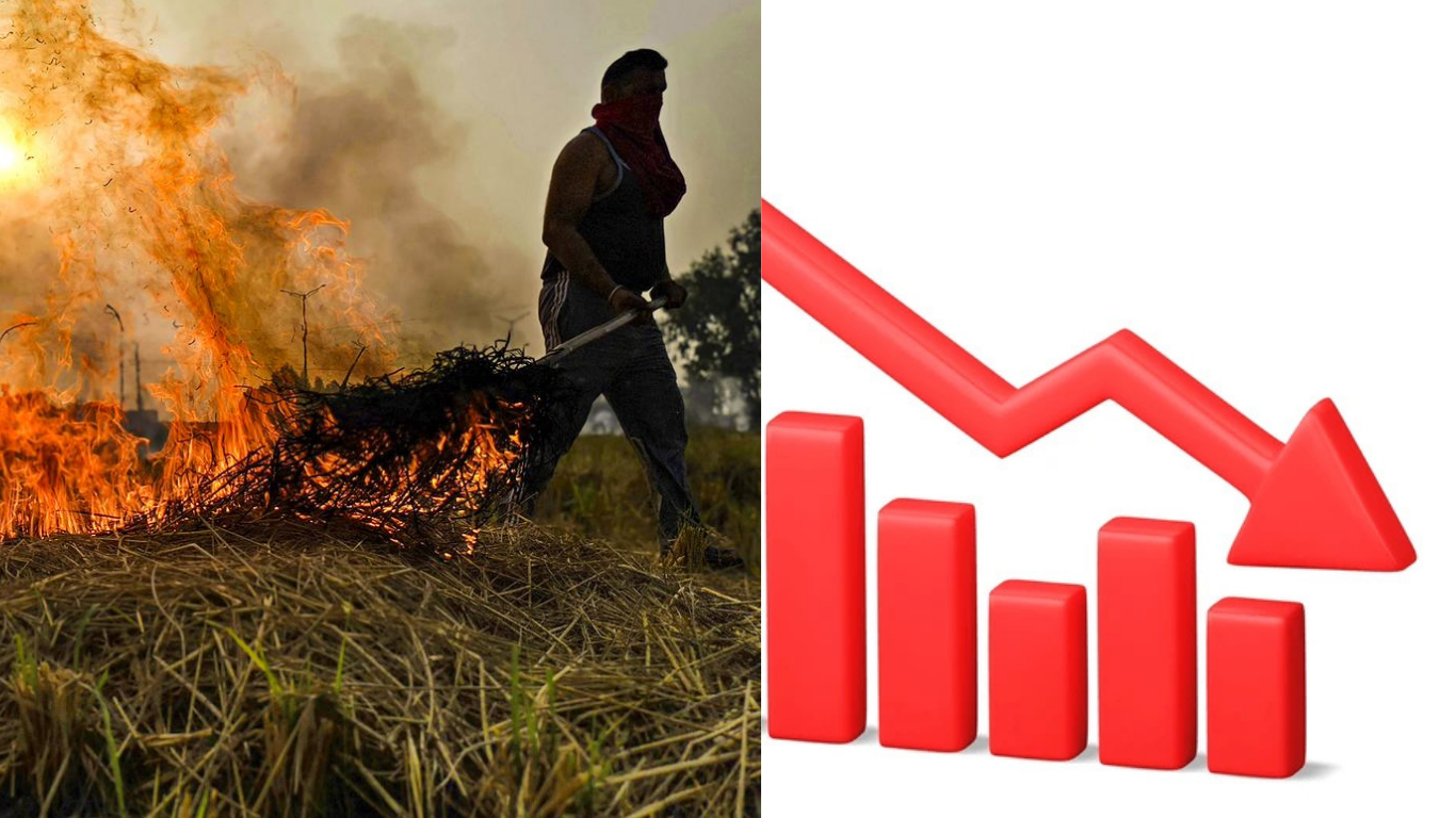 Haryana Achieves 95% Drop in Paddy Stubble Burning Cases